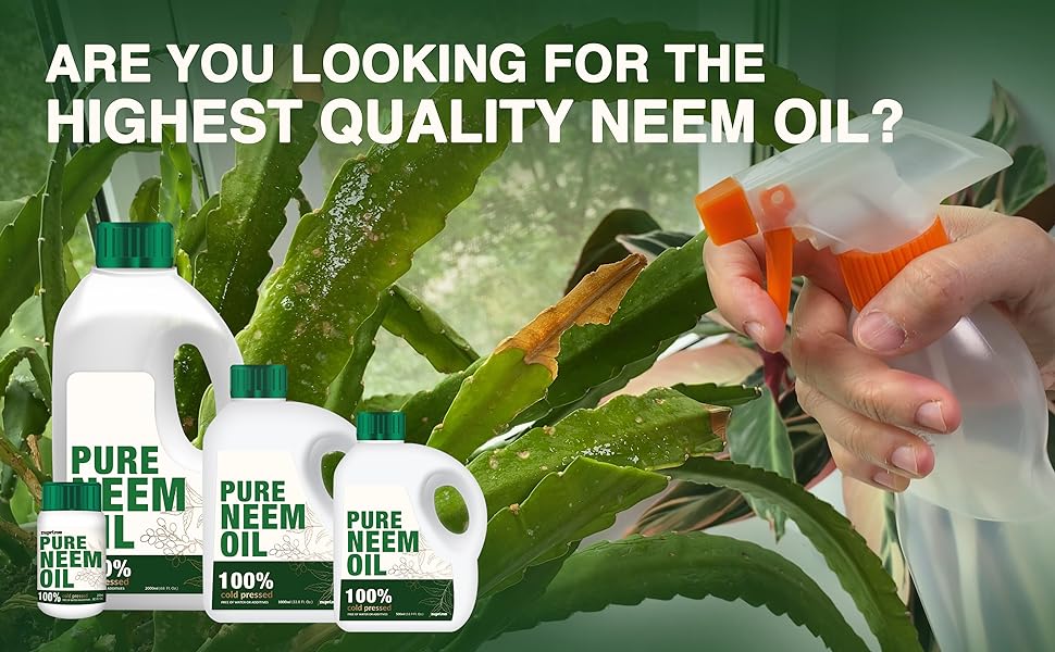 neem oil